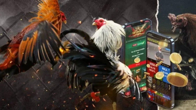 Những điểm nổi bật khiến đá gà 88 NET88 được yêu thích