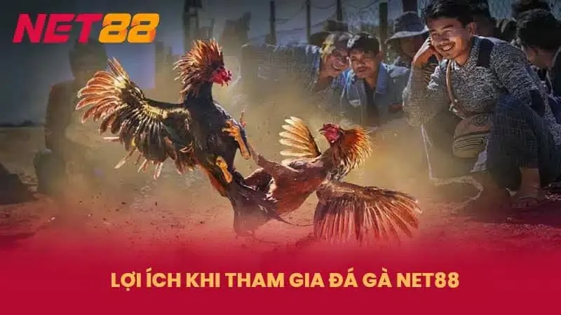 Ưu điểm khi hội viên tham gia trải nghiệm đá gà Net88