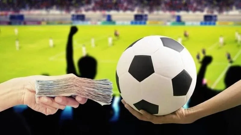 Lợi ích khi tham gia cá cược bóng đá tại Net88